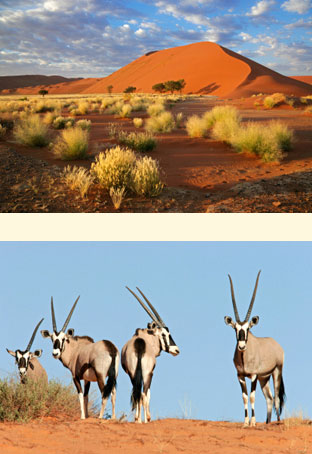 namibia-side